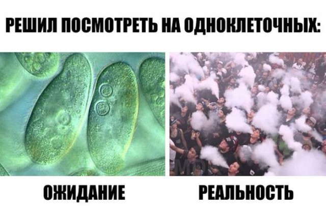 Картинки смешные и тупые