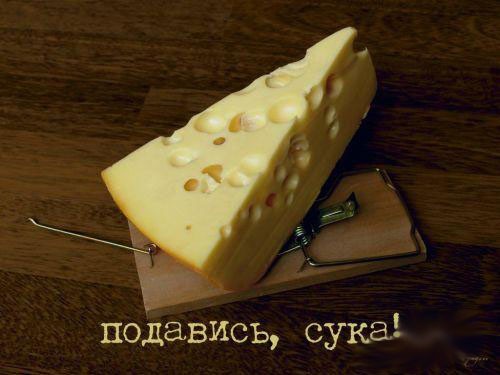 Мышыловка)))))))))))))))))))