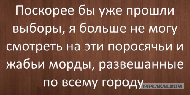 Картинки и приколы из сети, для поднятия настроения=)