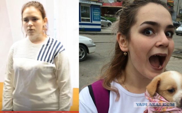 Против "хабаровских живодерок" возбудили еще три уголовных дела