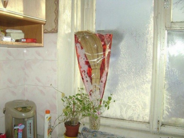 Подборка безудержного веселья