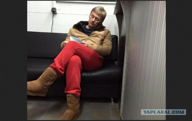 Песков прокомментировал появление неизвестного спутника с Путиным