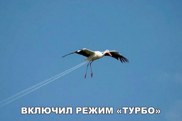 Картинки всякие для поднятия настроения