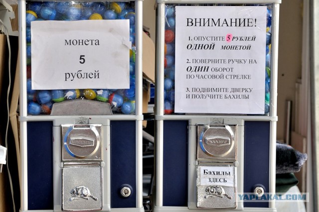 Реальная цена  популярных товаров