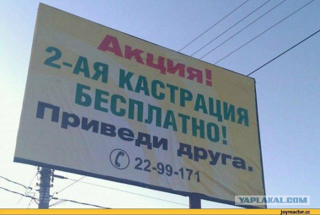 Загадочная смерть в отеле Plaza. Так что же произошло в номере 2805?