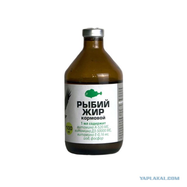 Соевый соус, майонез, сгущёнка и красная икра