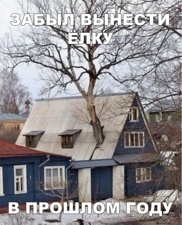 Нестандартный юмор