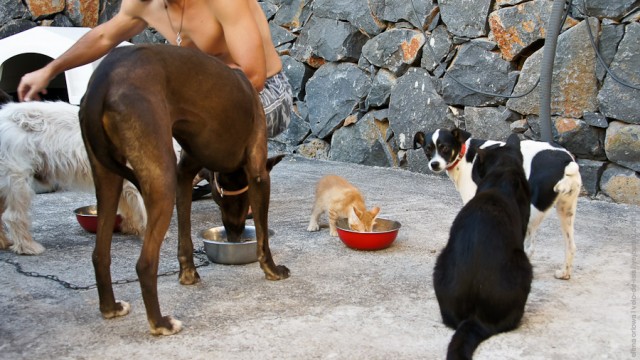 Один мой день. Самый первый!