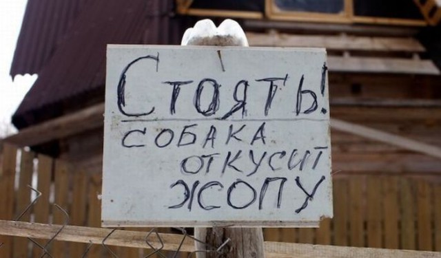 Подборка интересных и веселых картинок