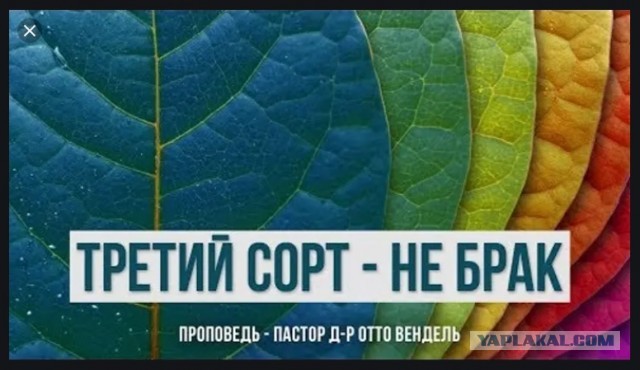 Чего хотят мужчины от "30-летних старух"?