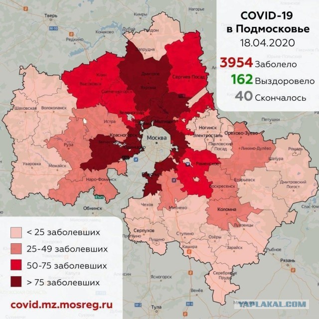 Пандемия. Коронавирус. Россия и мир. Последняя информация. Часть 13