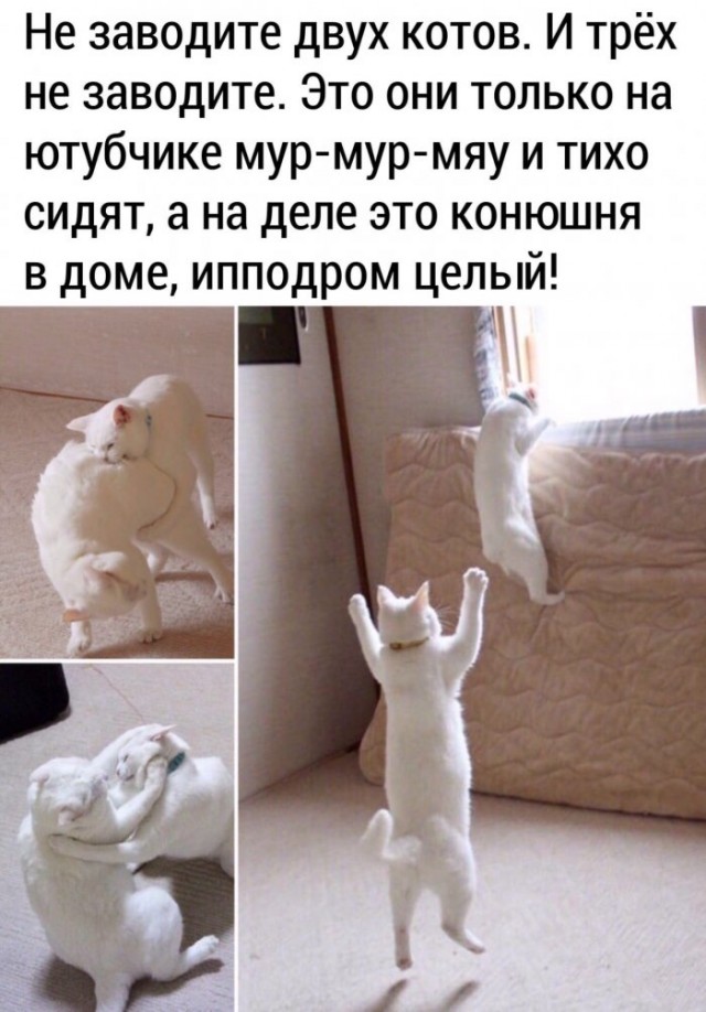 Немного картинок для настроения 27.04.20