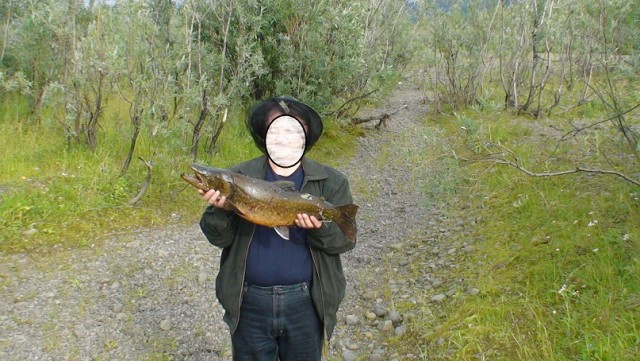 Арктический голец полу-горячего копчения.