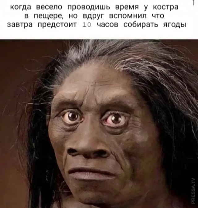 Картинки и мемы для настроения 005
