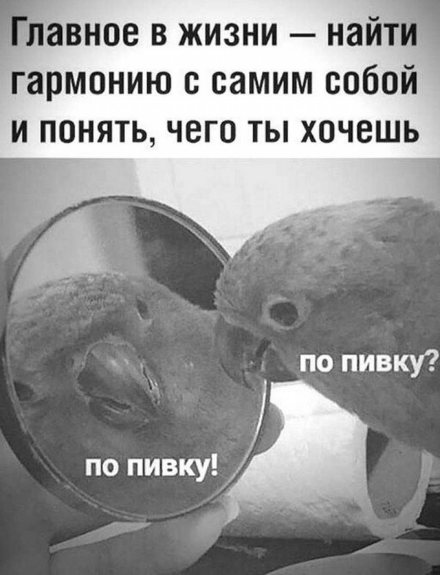 Картинки и мемы для настроения 02.02.2021