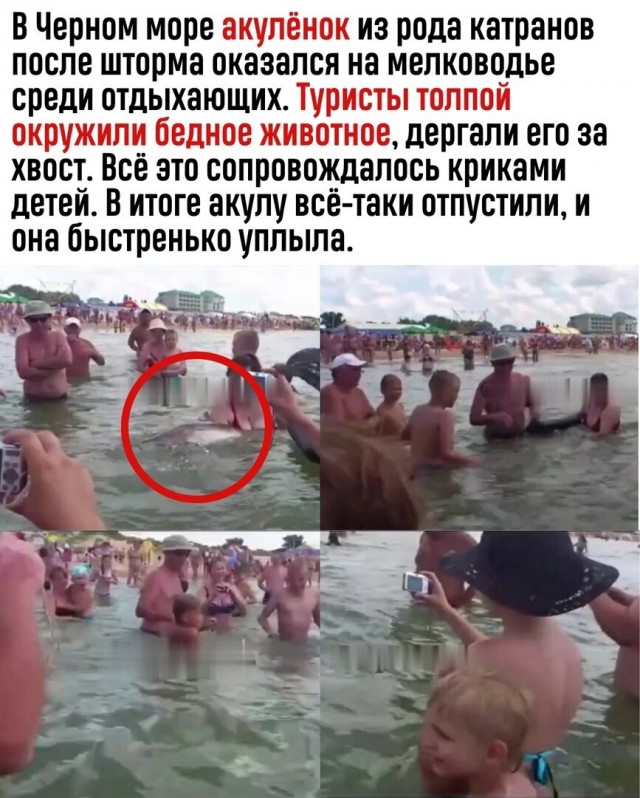 А это море у Анапы сейчас