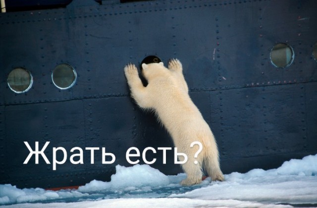 Картинки и мемы для настроения 18.08.2021