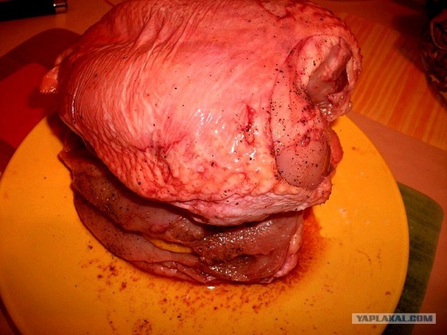 International одной книги., В память о Дженибеке.