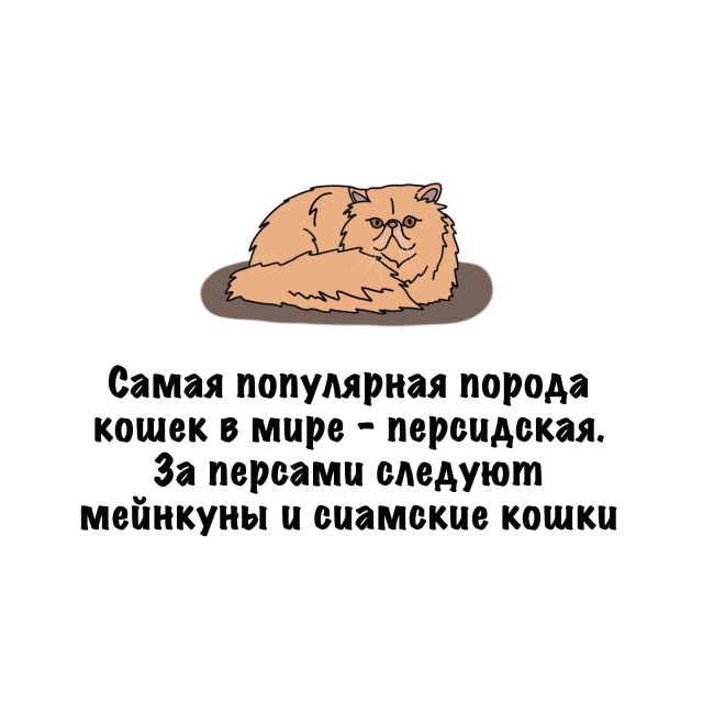 Картинки на субботу