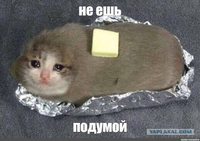 "Наташа, тебе комплимент от шеф-повара" или шерстяные говнюки