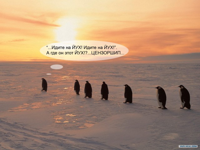 Вот такое настроение