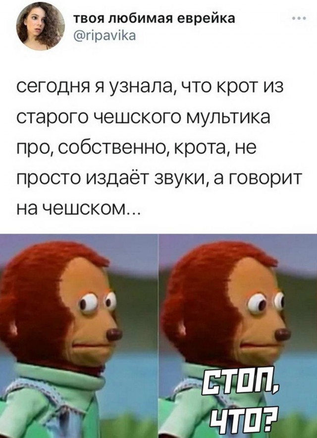 Всяческие картинки 10.12.2021