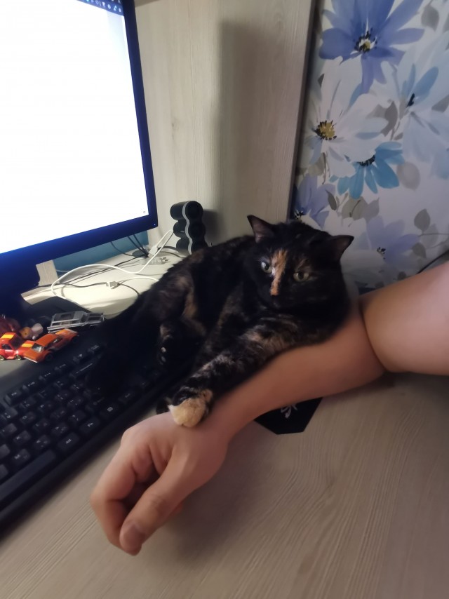 Ваше рабочее место