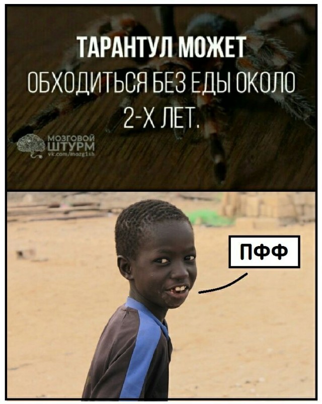 Чернота на среду, дорогие деграданты (облегченная версия)