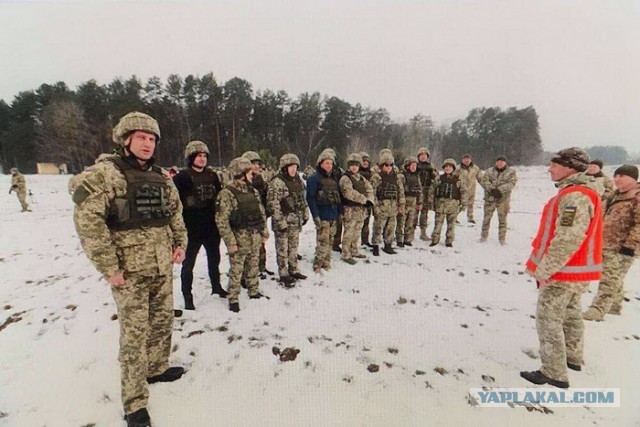 Усик драпанул из теробороны