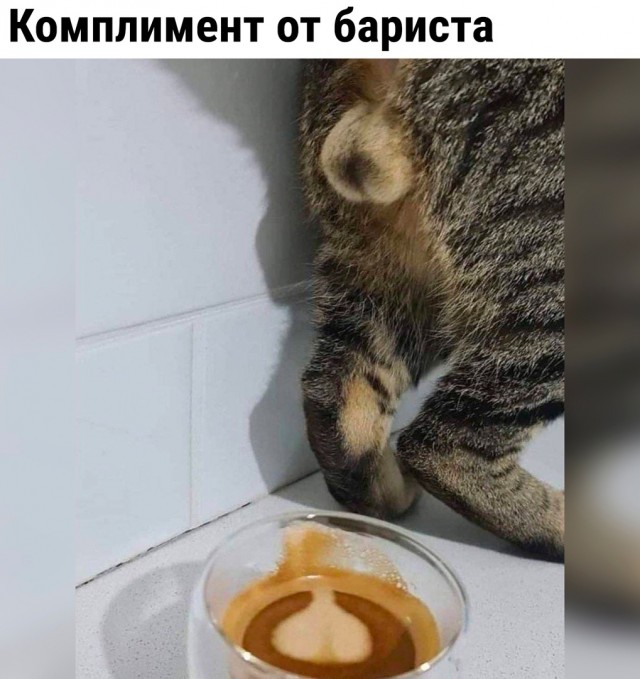 Так себе картинки 29.05.22