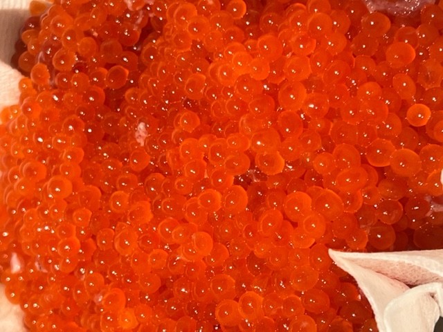 Августовская горбуша