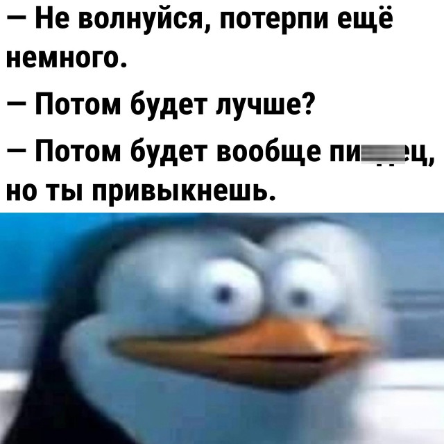 Чуток картинок 11.10.22