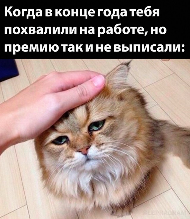 Картинки и мемы, всем хороших выходных