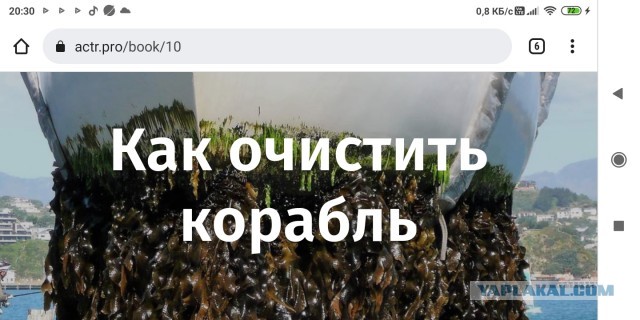 История Луноспоров