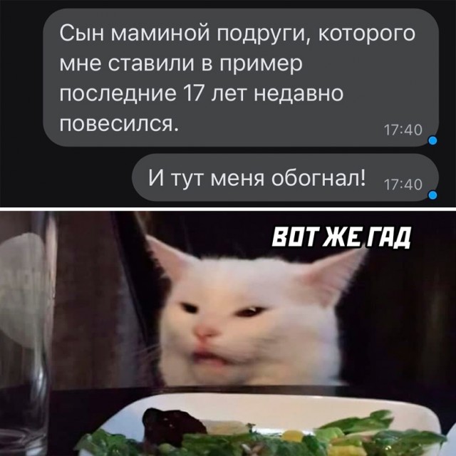 Весёлый полтишок 21.02.23