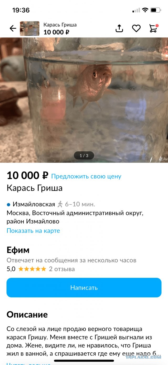Последствия дрочки у мужчин