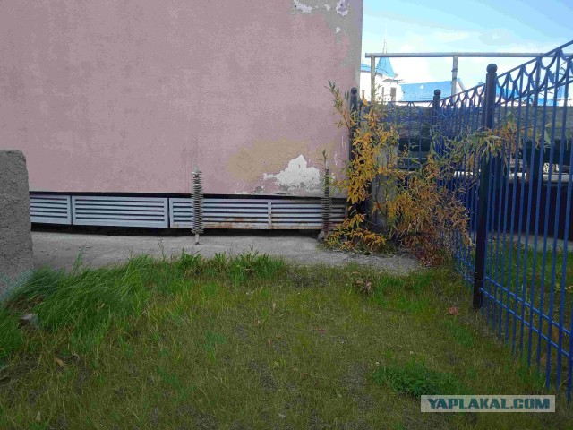 Полярные выходные