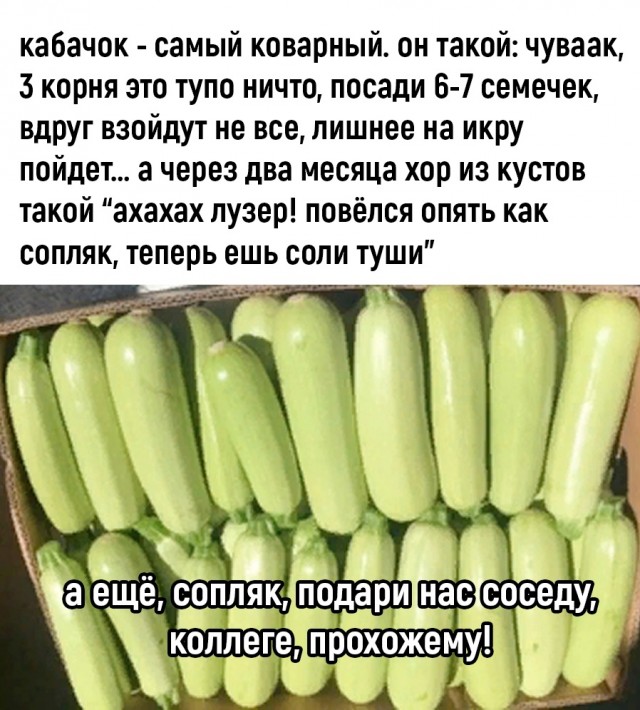 Скупка краденого из сети 15-06-2023