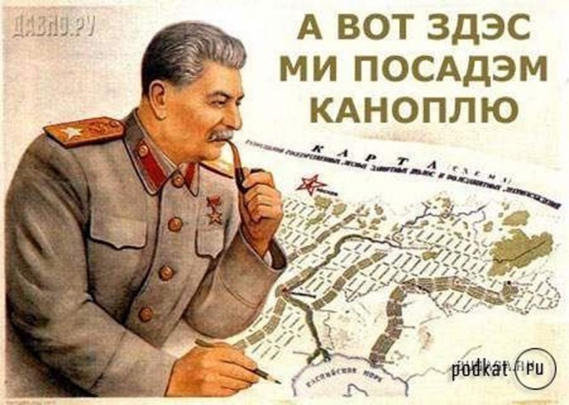 Прикольные и просто красивые картинки 14.07.2023
