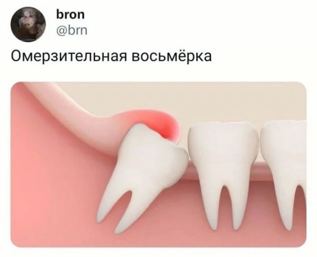 Приколы в понедельник