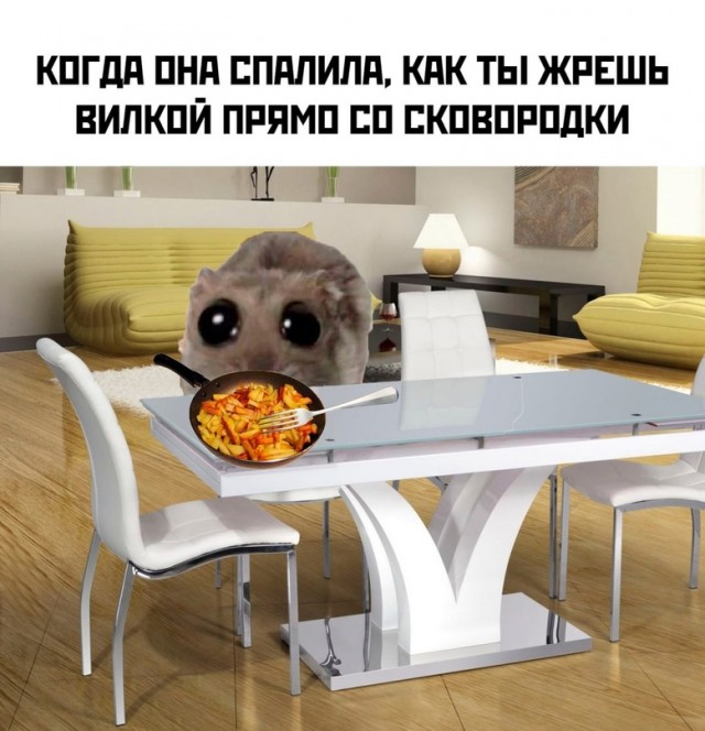 Кретинизмы из KV и KO 10-03-2024