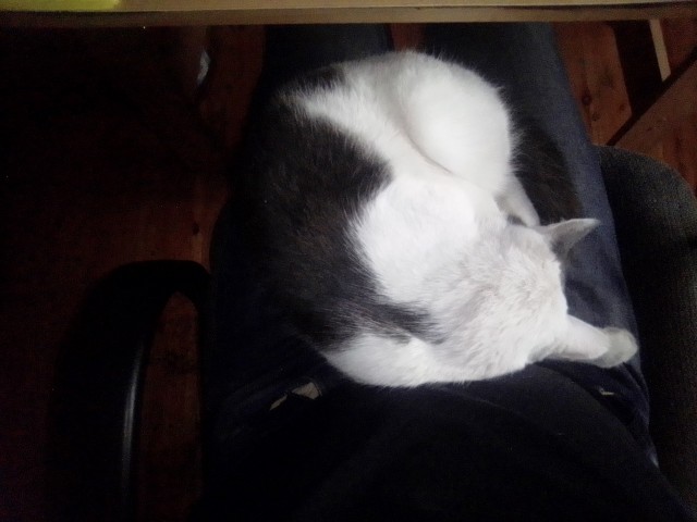 Сборник рассказов ЯПовских авторов. Обсуждение проблемы.