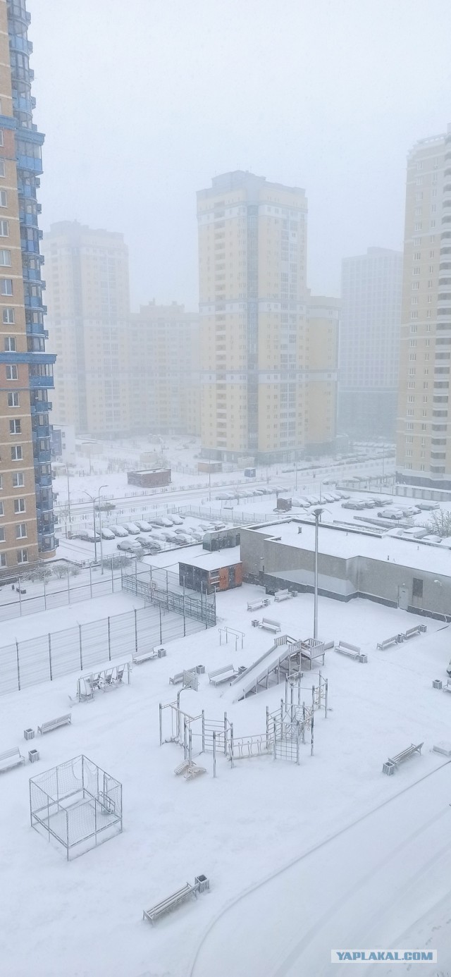 Это май баловник, это май чародей...