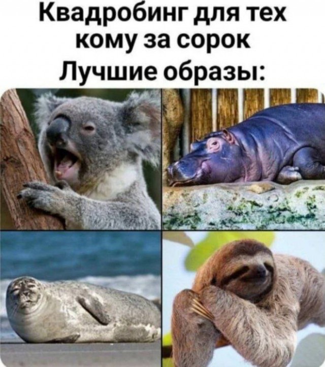 19471929.jpg