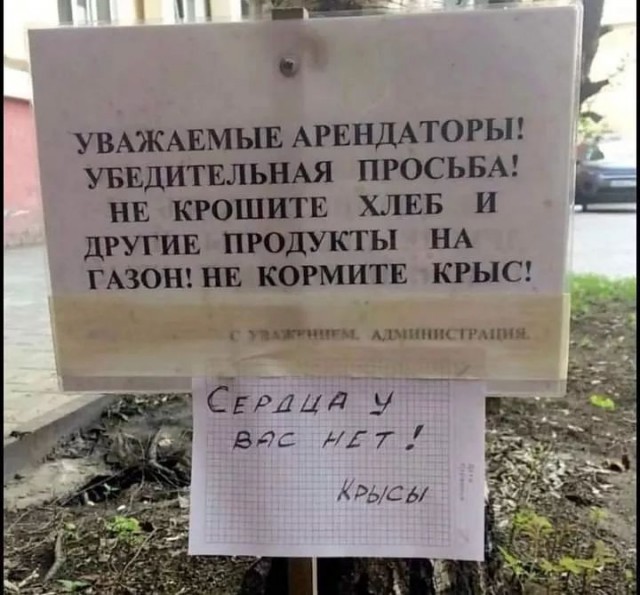 Завалялось тут случайно немного забавных картинок