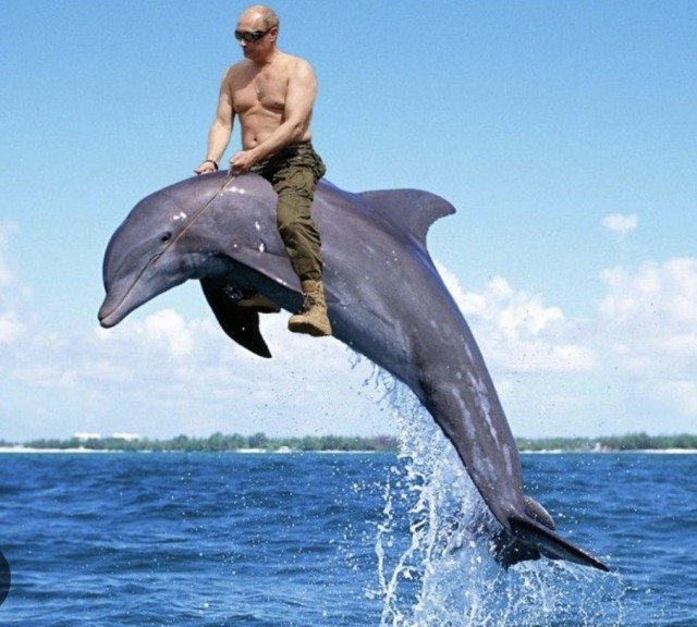 В Балтийском море обнаружили второй поврежденный кабель стран НАТО за сутки