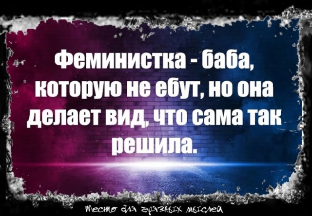 Так себе картинки 24.12.24