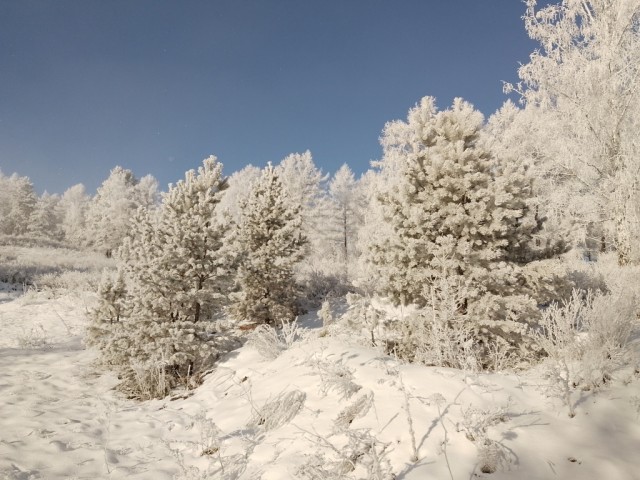 Зимний день в Абзаково