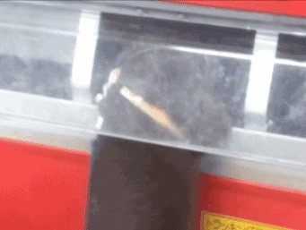 Хозяин, всё, я украл...теперь БЕЖИМ!