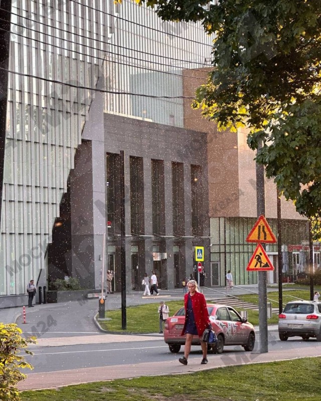 Москва, обстановка: на местных обрушился ураган из мошкары